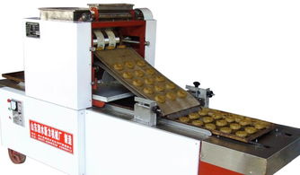 山東泗水新力食品機(jī)械廠(chǎng)