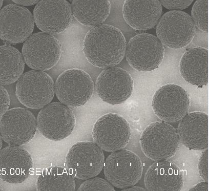 甲苯磺?；胖?供應信息 食品科技網