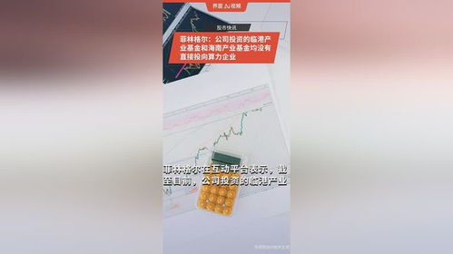 菲林格爾 公司投資的臨港產業基金和海南產業基金均沒有直接投向算力企業