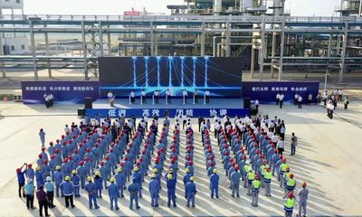 湖北南煉新材料公司精細化工項目正式投產(chǎn)