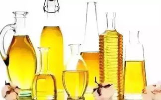 這四種平民菜最適合冬補 快吃起來